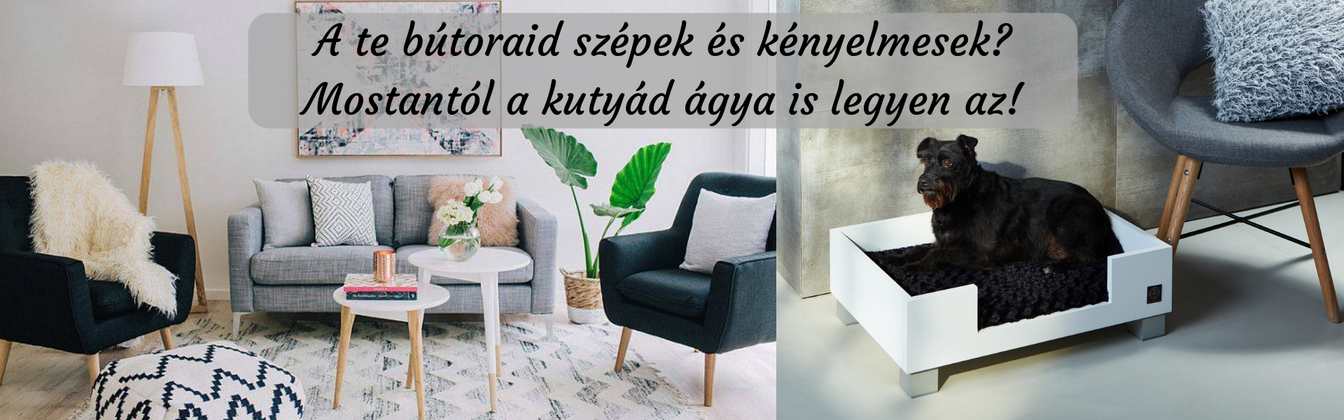 Kutyabútor, kutyaágy - Vágner Állatbútor