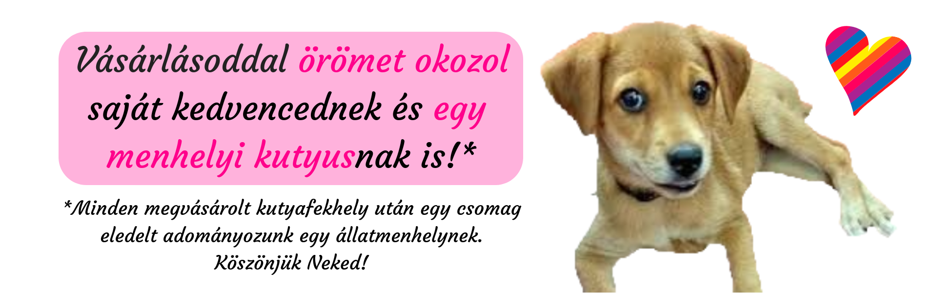 Adományok, támogatás - Vágner Állatbútor