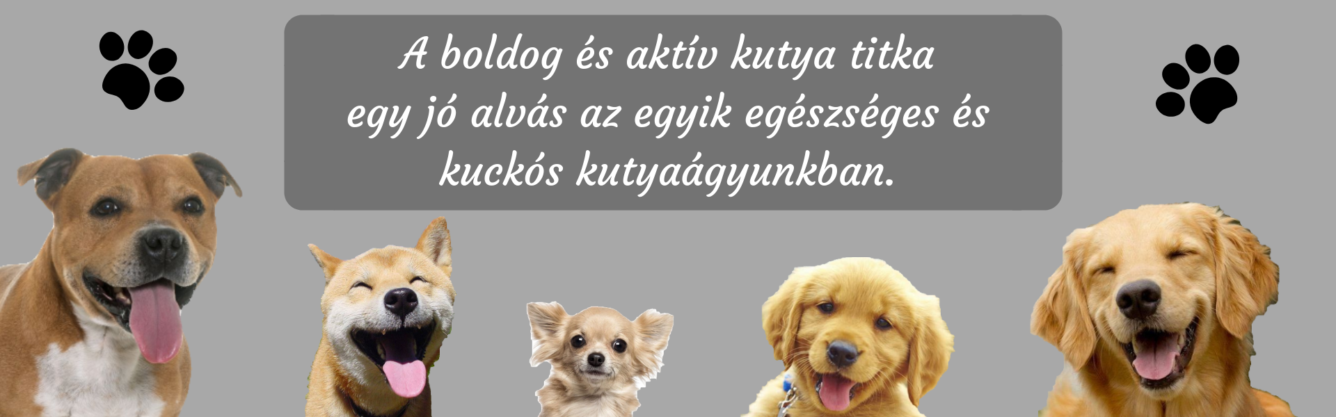 Kuckós kutyaágy - Vágner Állatbútor